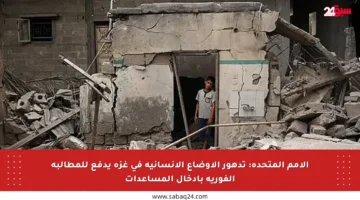 الأمم المتحدة: تدهور الأوضاع الإنسانية في غزة يدفع للمطالبة الفورية بإدخال المساعدات
